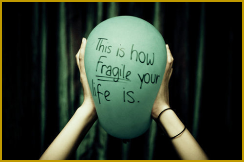 Fragile life