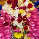 Sri Ramanujacharya Jayanthi celebration by Virginia Namadwaar