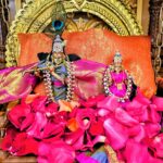 IMG_4916 – Sandhya Anand