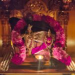 WhatsApp Image 2025-10-26 at 2.57.47 PM – Sandhya Anand