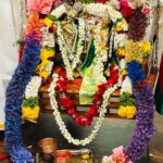 WhatsApp Image 2026-04-01 at 10.58.17